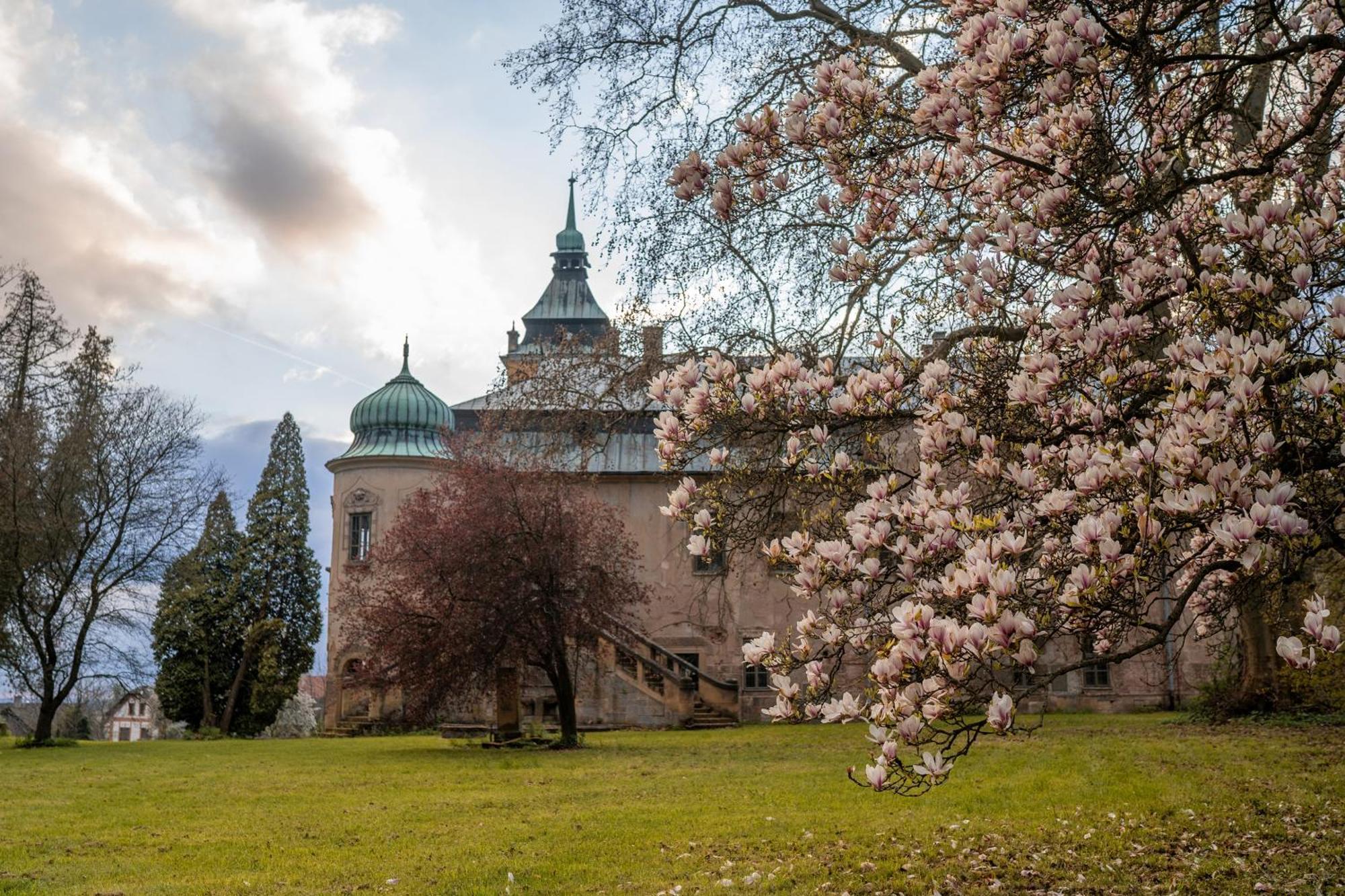 Apartmán Zámecký Areál Holovousy